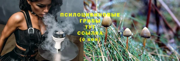 гашик Приозерск