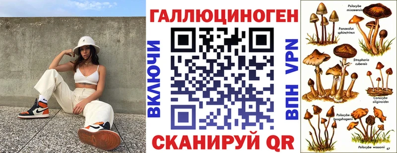 Псилоцибиновые грибы Psilocybine cubensis  Никольск 