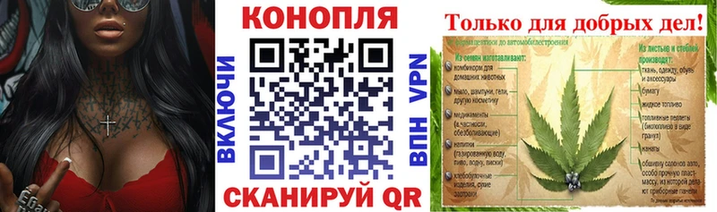Шишки марихуана Amnesia  Никольск 